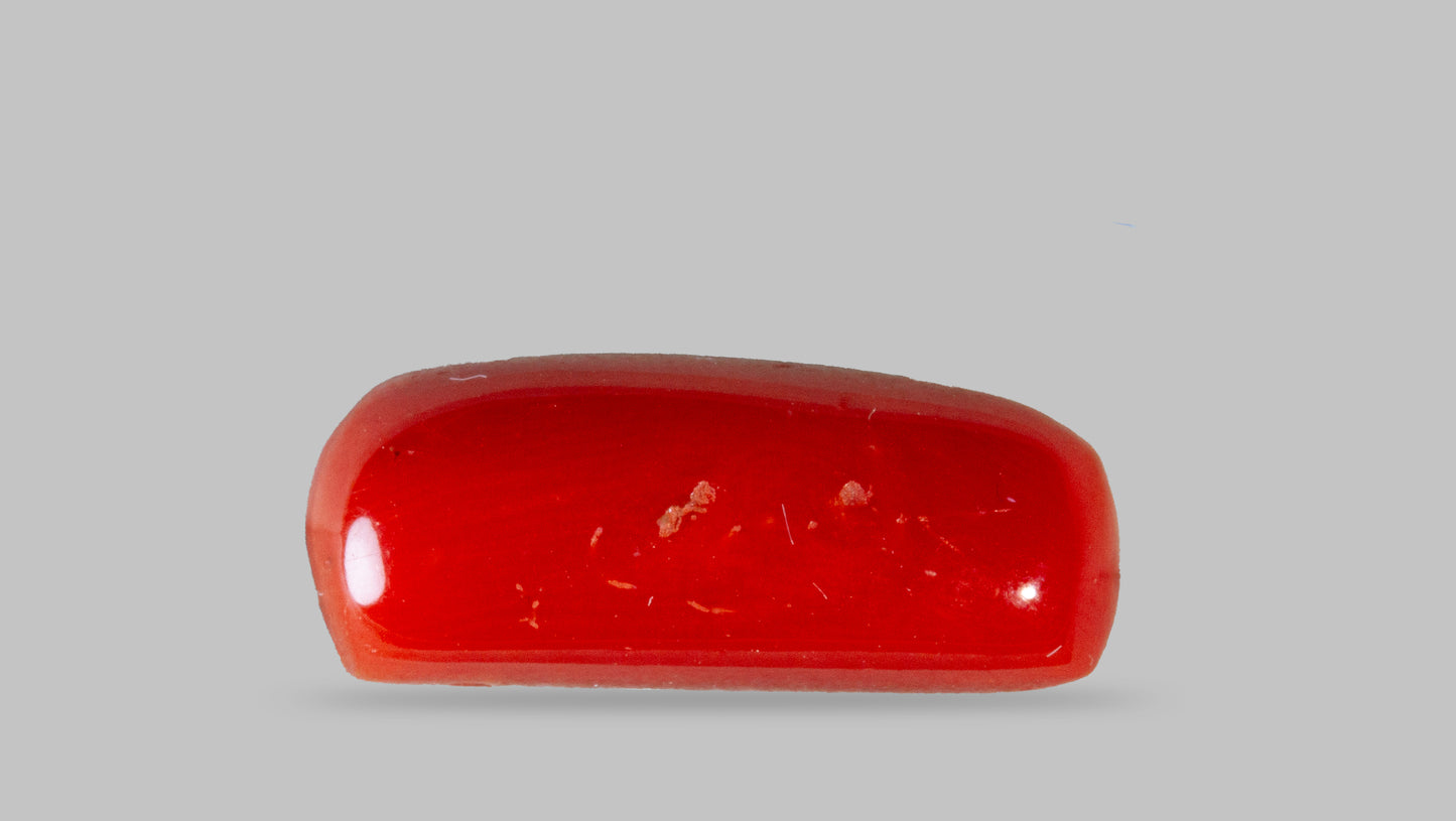 Natural Italian Red Coral (Moonga) 8.39 Carats