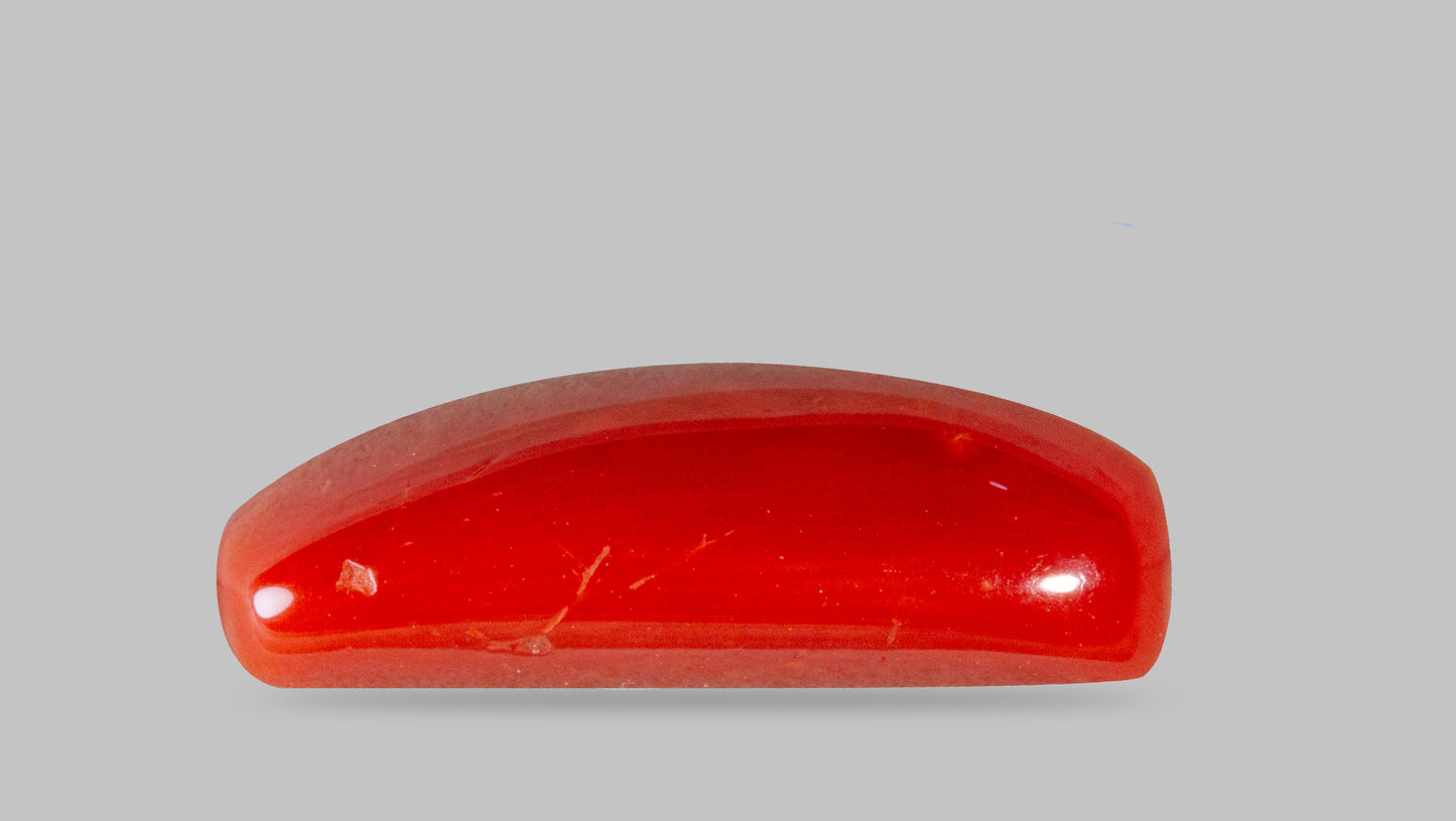 Natural Italian Red Coral (Moonga) 7.82 Carats