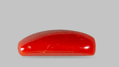 Natural Italian Red Coral (Moonga) 7.82 Carats
