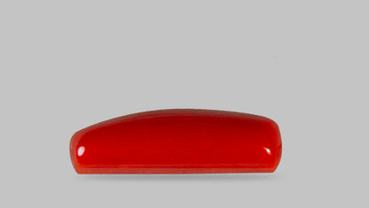 Natural Italian Red Coral (Moonga) 7.19 Carats