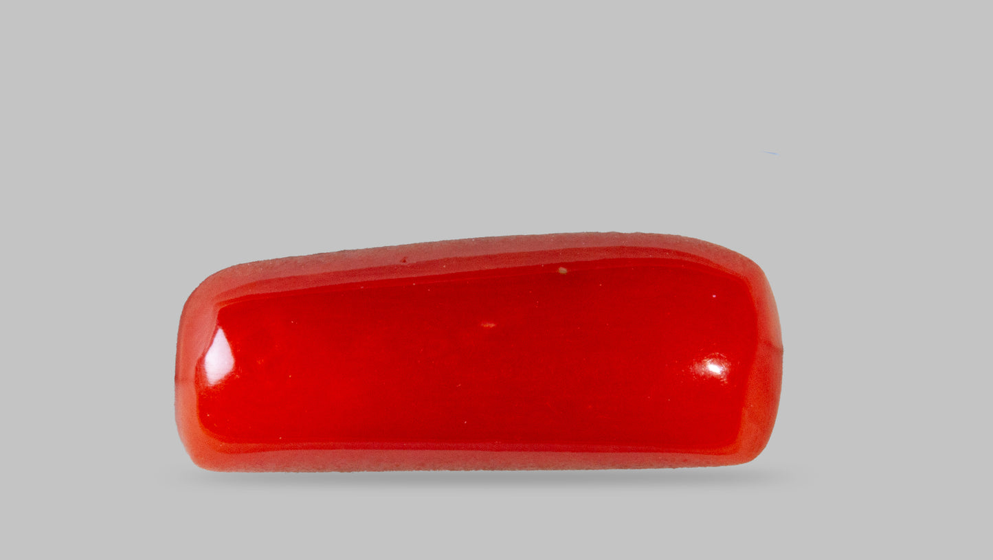 Natural Italian Red Coral (Moonga) 7.06 Carats