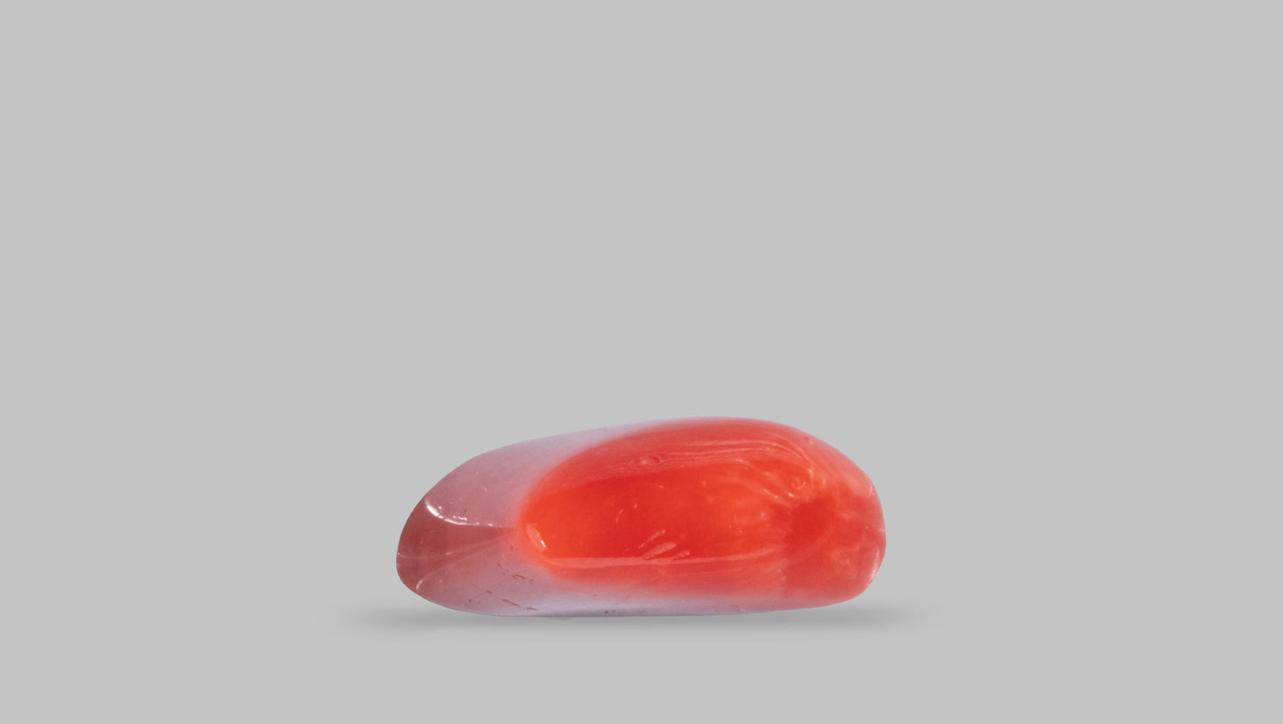 Natural Italian Red Coral (Moonga) 6.44 Carats